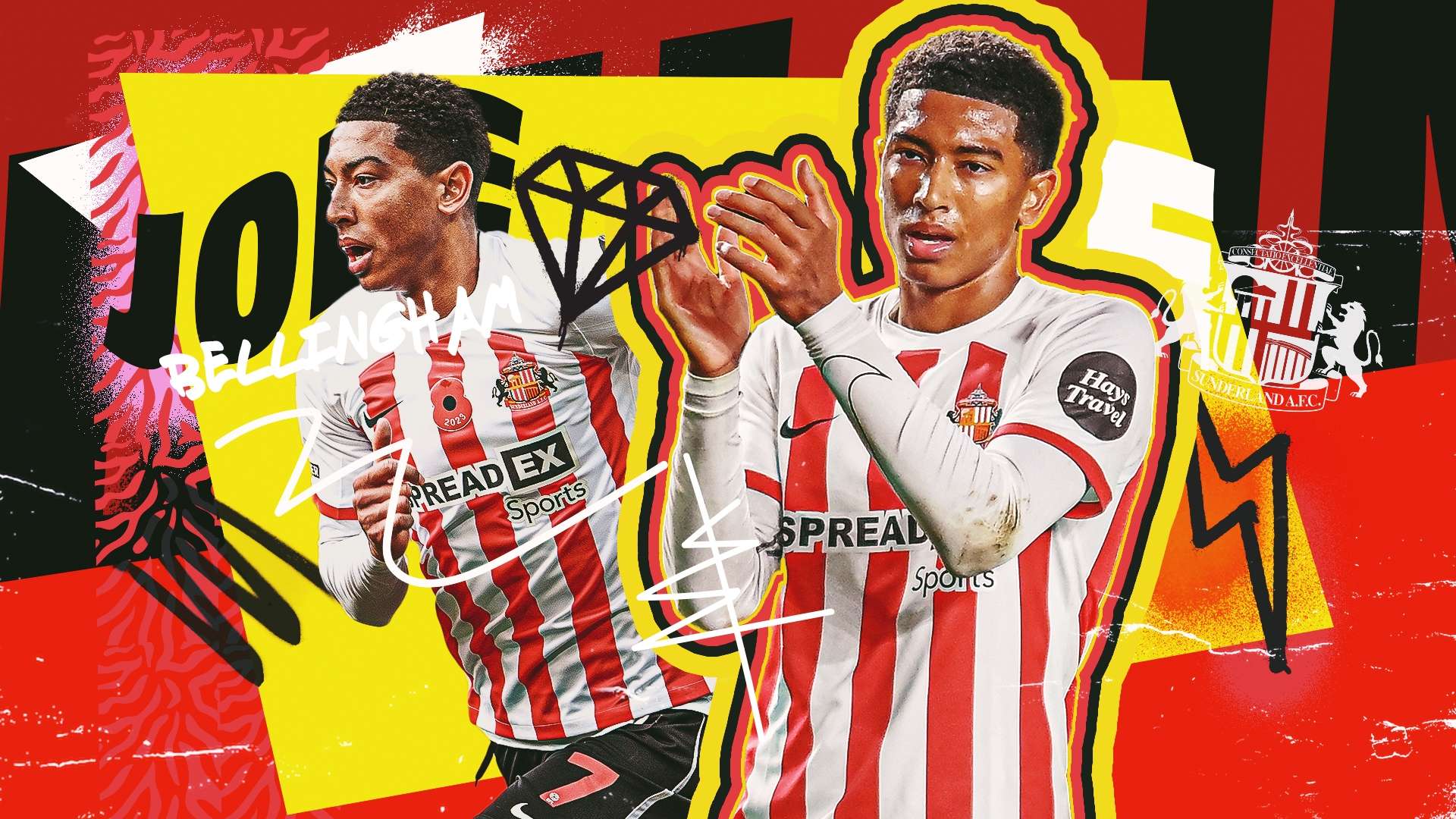 对手们展示 对手们展示