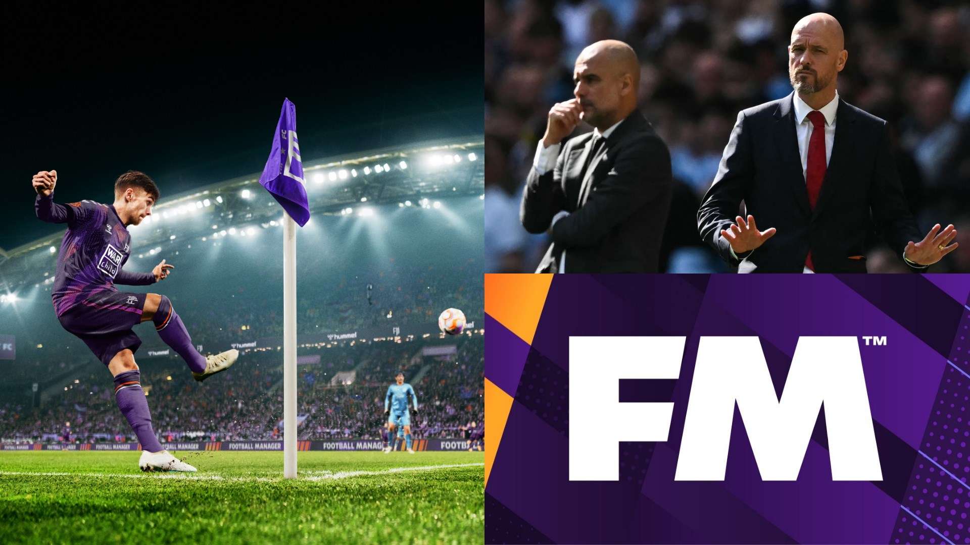 的成功案例 的成功案例